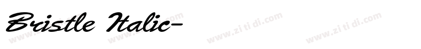 Bristle Italic字体转换 Bristle Italic字体转换